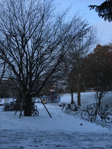 札幌は雪❄️