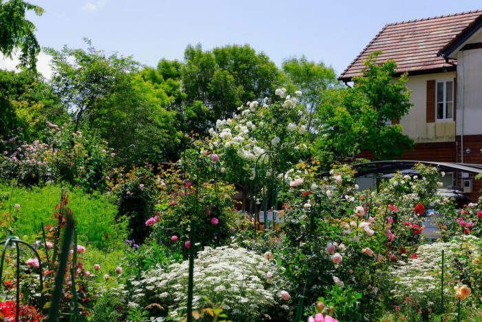 イギリスの住宅と草花を植えたフロントガーデン｜英国風庭づくりの魅力・家と調和させるコツ