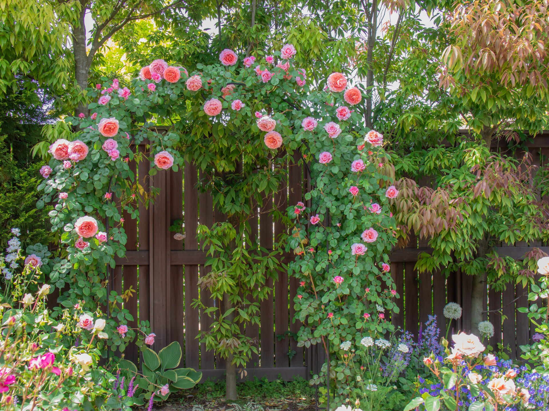 イギリス式ガーデニング」に学ぶ、暮らしと美しさが調和する庭のつくり