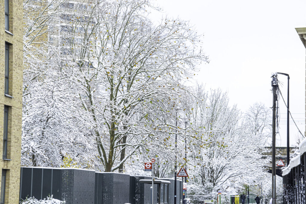 ロンドンの冬に学ぶ快適な暮らし方｜暖房だけに頼らない工夫・日本の家づくりとの違いを解説