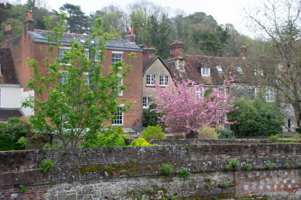 イギリスの「桜文化」と庭のある暮らし｜春の景色を住まいに取り込む家づくり