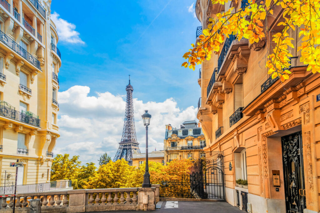 フランスの秋の過ごし方に学ぶ｜日本の住まいに取り入れやすい心地よい「室内インテリア」の整え方
